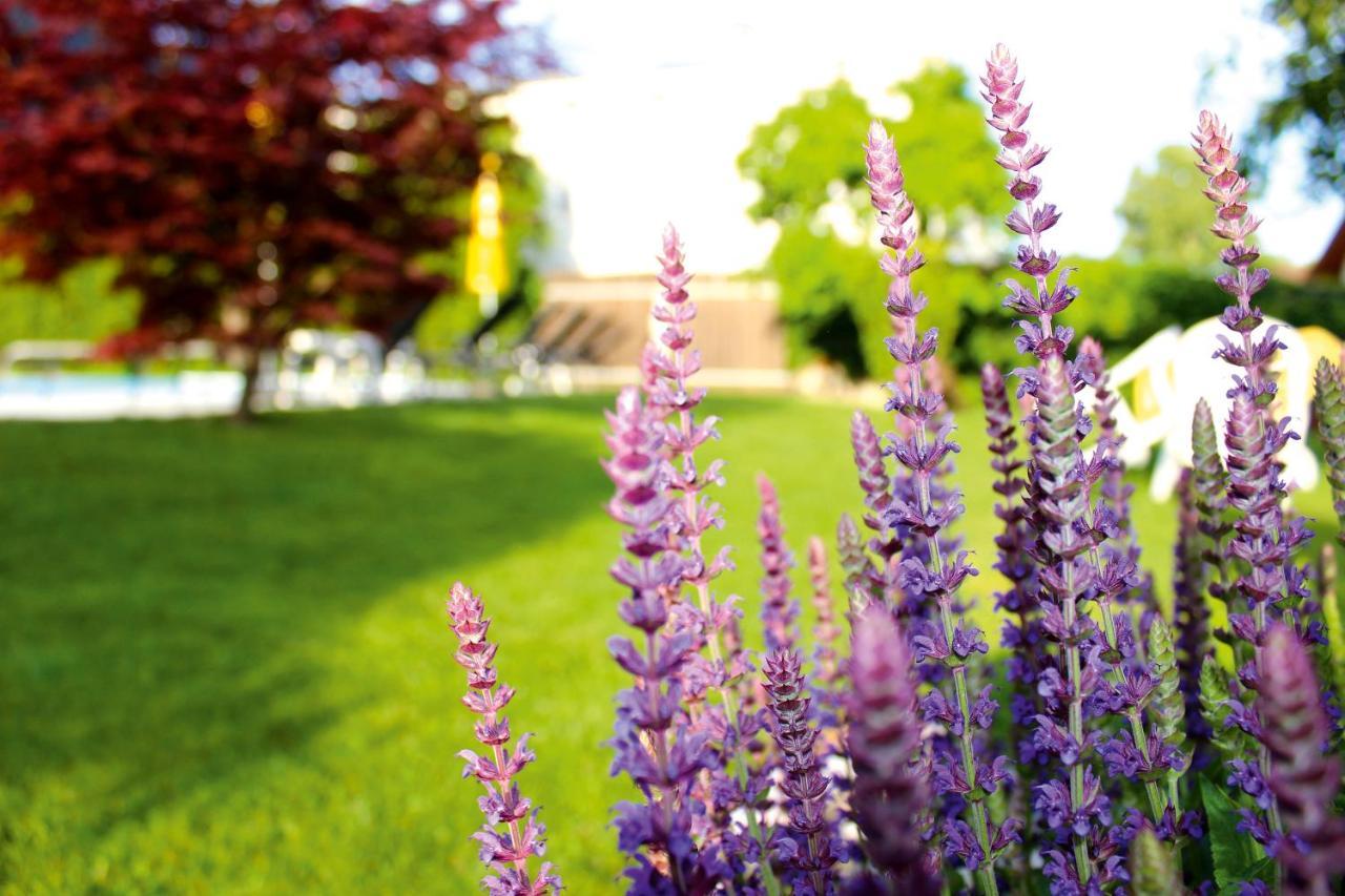 Pension Sattlerenglhof Laces Exterior foto